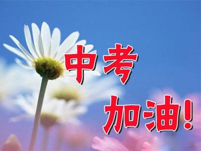 白山中考家教哪里找？